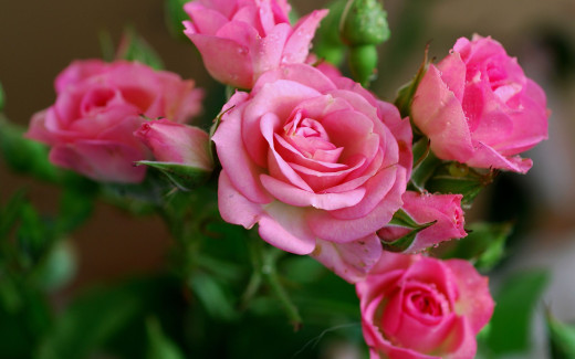 467247 (a): :2560x1600